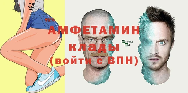 спиды Ельня