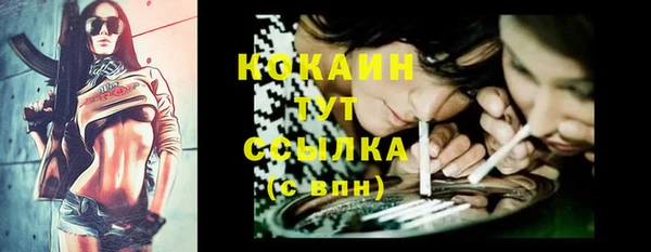трава Елизово