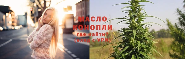 спиды Ельня