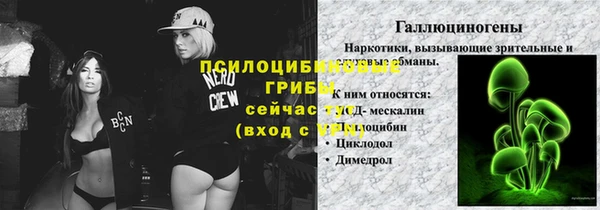 трава Елизово