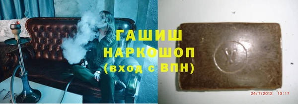 спиды Ельня