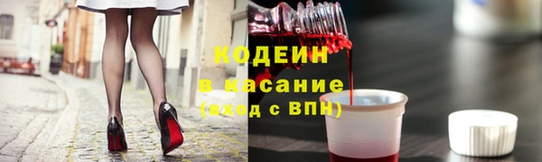 спиды Ельня
