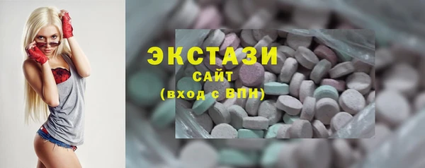 спиды Ельня