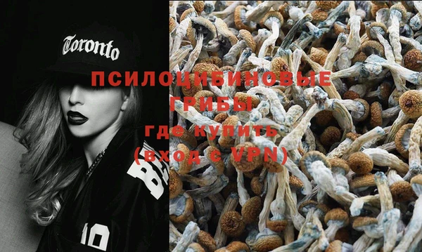 мяу мяу кристалл Елабуга