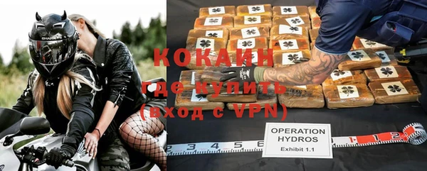 спиды Ельня