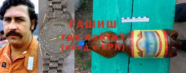 спиды Ельня