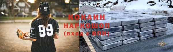 спиды Ельня